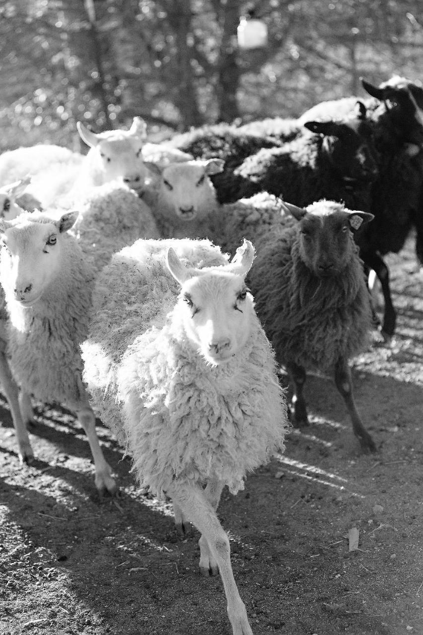 Отель Reves De Moutons Пасо Роблс Экстерьер фото