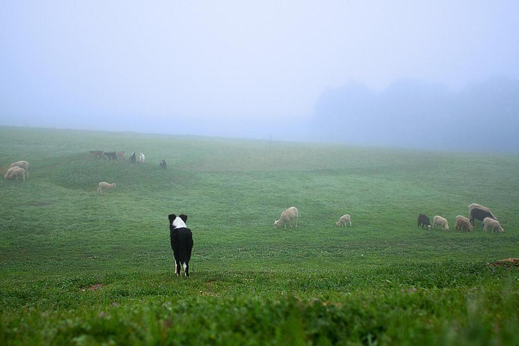 Отель Reves De Moutons Пасо Роблс Экстерьер фото